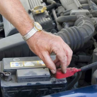 Untitled design - 2026-02-17T151846.218