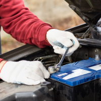 Untitled design - 2026-02-17T151909.019